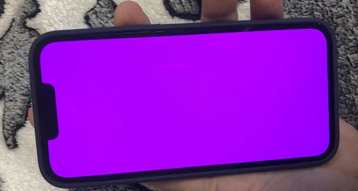 iPhone 13 Pink Screen Issue